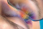 Rainbow Lash Extension - Terraderma Nanaimo 2024