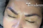 Combo Brow Permanent Makeup Terraderma 2020