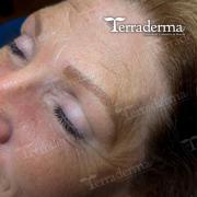 Microblade brows - Nanaimo - Terraderma 2022