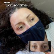 Nanaimo Microblade Brows 2022 Terraderma