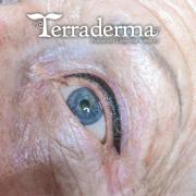 Nanaimo Permanent Makeup Eyeliner - 2022 - Terraderma