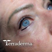 Eyeliner - Terraderma - Nanaimo Permanent Makeup 2023