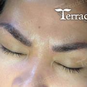 Combo Brow Permanent Makeup Terraderma 2020