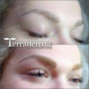 Microbrows - Microblading Nanaimo BC - Terraderma 2020