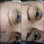 Powder Brow Permanent Makeup - Nanaimo BC - Terraderma 2020