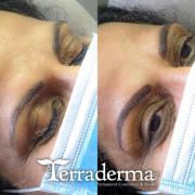 Combo Powder Brow Permanent Makeup - Nanaimo BC - Terraderma 2020